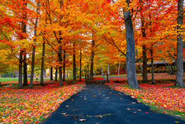 If you are seeking mental health treatment Boxford Massachusetts for your unique needs, Woburn Addiction Treatment centers offer counseling that integrates mind and body wellness for children, adolescents, and families who are struggling with mental health concerns or addiction.